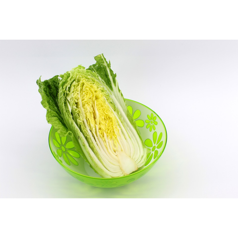 ผักกาดขาว-white-cabbage-ผักกาดจีน