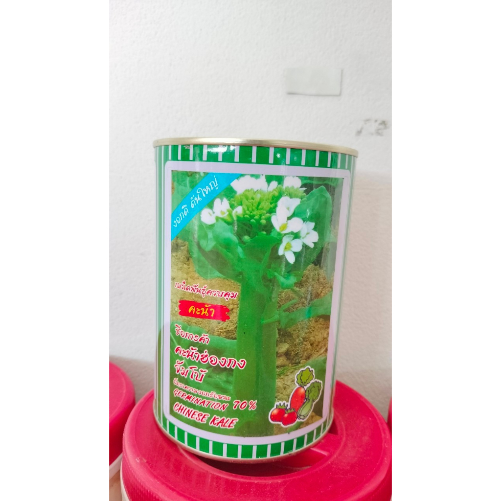 เมล็ดพันธุ์คะน้าฮ่องกงจัมโบ้-500g-ตราปลาทองเมล็ดพันธุ์ควบคุมallaboutplants