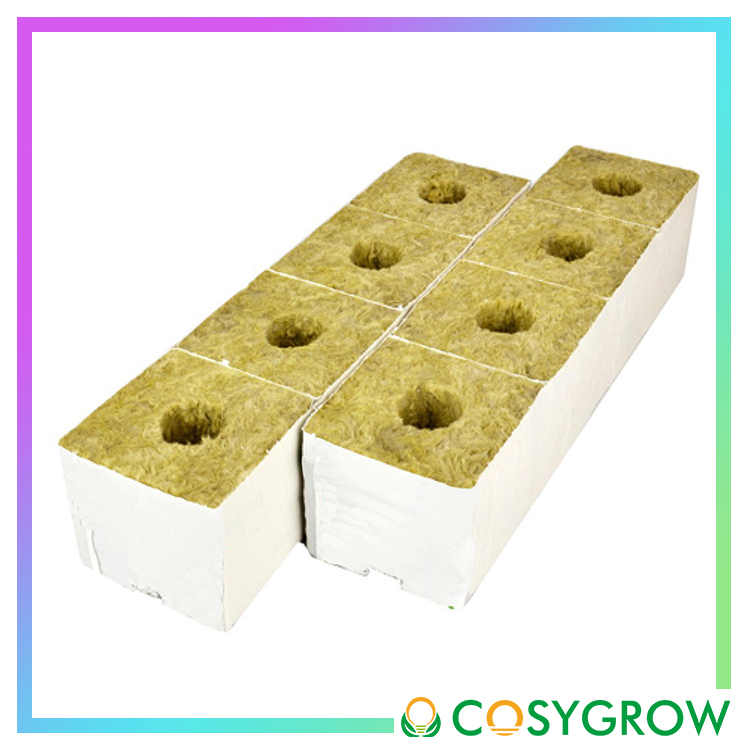 rockwool-ร็อควูล-วัสดุใยหินปลูกต้นไม้-ระบบไร้ดิน-เพาะเมล็ด-เก็บเกี่ยว-ต้นเจริญเติบโตได้ดี