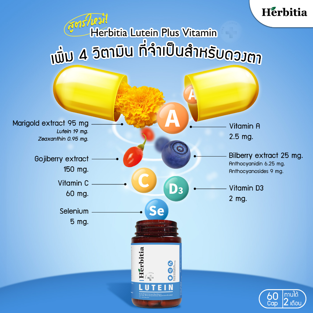 ภาพสินค้าHerbitia Lutein Plus Mini เฮอร์บิเทีย ลูทีน พลัส มินิ ประกอบด้วยวิตามิน A มีส่วนช่วยบำรุงสายตา บรรจุ 15 แคปซูล จากร้าน ecio_thailand บน Shopee ภาพที่ 4