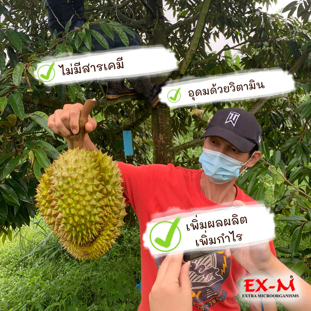 em-หัวเชื้อจุลินทรีย์-พืชผักหวานกรอบ-ปรับสภาพดิน-ปุ๋ยน้ำใส่ต้นไม้-ขนาด-5-ลิตร-ex-m-จุลินทรีย์ดีเพื่อสิ่่งแวดล้อม