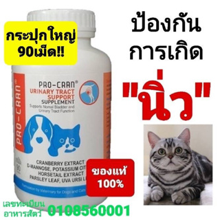 ภาพหน้าปกสินค้าPro-Cran วิตามินป้องกันการเกิดนิ่ว และช่วยลดโอกาสการติดเชื้อในทางเดินปัสสาวะ ใช้ได้ทั้งสุนัขและแมว (1 กระปุก 90 เม็ด) ที่เกี่ยวข้อง