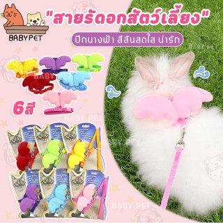 【V】BABY PET😸💟 สายจูงสัตว์เลี้ยง ปีกนางฟ้า สายจูงหมา สายจูงแมว สายจูงน่ารัก สายจูงปีกนางฟ้า 🎀😺