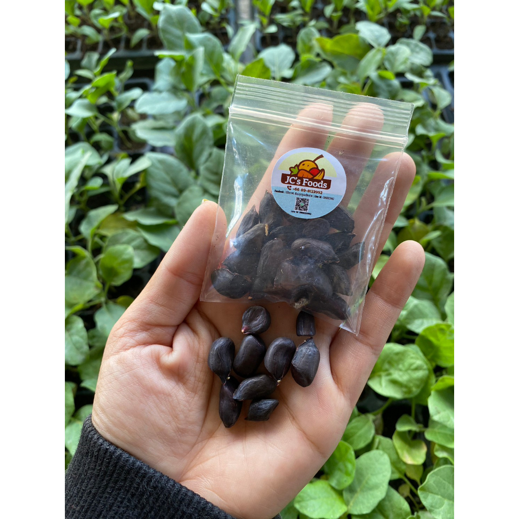 ถั่วลิสงเพชรดำ-black-peanuts-สําหรับทาน-หรือปลูกได้1ซอง-30เมล็ด-39-บาท