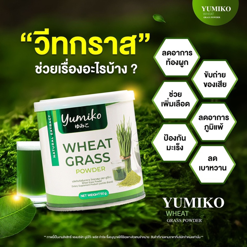 ภาพสินค้ายูมิโก๊ะ วีทกราส ผงผัก น้ำผัก ต้นอ่อนข้าวสาลี Yumiko wheatgrass  ส่งฟรี อร่อยทานง่าย จากร้าน khaydee169shop บน Shopee ภาพที่ 1