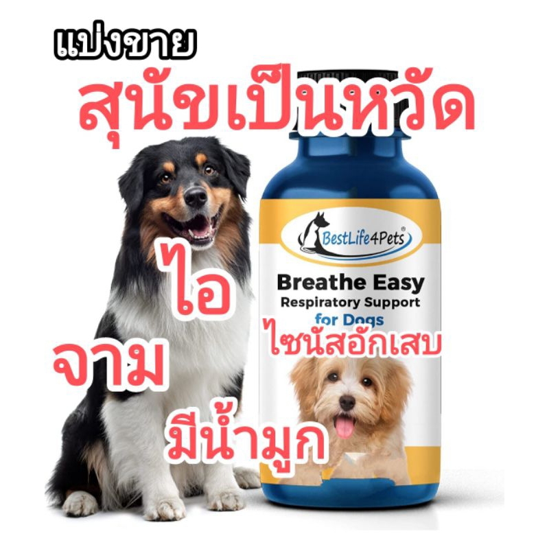 แบ่งขาย-breath-easy-respiratory-support-อาหารเสริมสุนัข-อาหารเสริมดูแลระบบทางเดินหายใจ-สุนัขเป็นหวัด-หมาเป็นหวัด