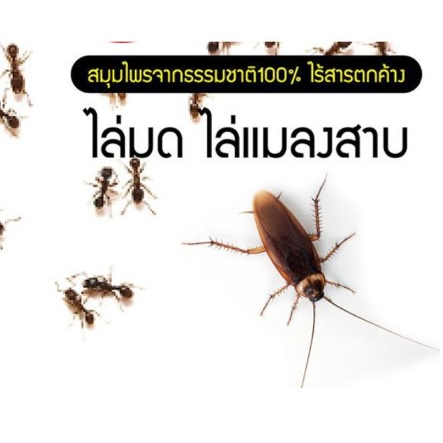 ไล่หนู-ไล่นก-ไล่จิ้งจก-ไล่งู-ไล่ค้างคาว-ไล่มด-แมลงสาบ-แมงมุม-ตุ๊กแก-ฯลฯ-ขนาดถัง5ลิตร