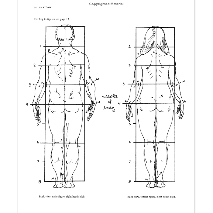 anatomy-a-complete-guide-for-artists-paperback-dover-anatomy-for-artists-english