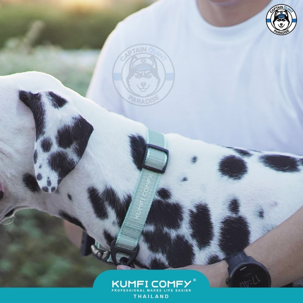 kumfi-comfy-reflective-collar-ปลอกคอสุนัขสะท้อนแสง-ใหม่