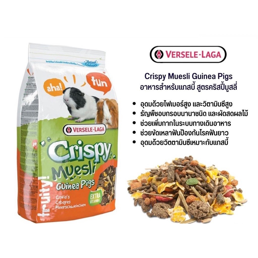 bp-pets-อาหารแกสบี้-สูตรคริสปี้มูสลี่-crispy-muesli-guinea-อาหารหนูแกสบี้-อาหารหนูขวัญ-อาหารสัตว์เล็ก