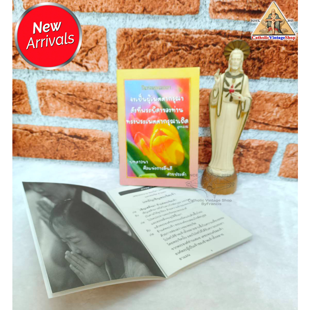 หนังสือ-บทภาวนา-ศีลแห่งการคืนดี-สายประคำ-ปีแห่งพระเมตตา-catholic-book
