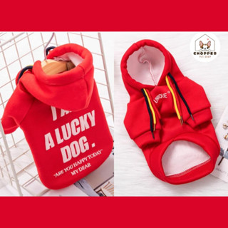 พร้อมส่ง เสื้อหมาแมว แบบฮูต lucky dog สีแดง