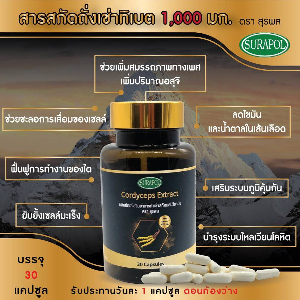 ภาพสินค้าถั่งเช่าทิเบต ถั่งเช่าสกัด แน่นๆเต็มเม็ด 1,000 มก. 30 แคปซูล มี อย. GMP บำรุงร่างกาย ไม่ง่วงตอนบ่าย ไม่เพลียง่าย Cordy จากร้าน bilavee บน Shopee ภาพที่ 1