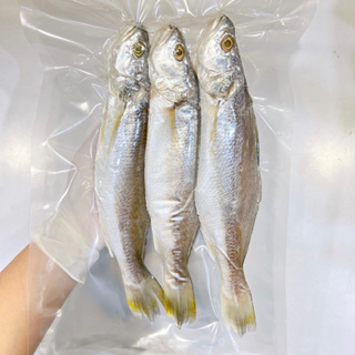 ภาพขนาดย่อของภาพหน้าปกสินค้าปลาจวดแดดเดียว น้ำหนัก 500 กรัม จากร้าน luckywhale944 บน Shopee