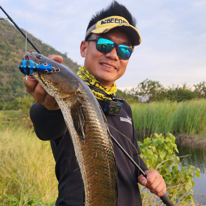 เหยื่อปลอม-กบยาง-กิ้งก่ายาง-คาเมล่อน-cameleon-cameleonv-2-by-mahseer