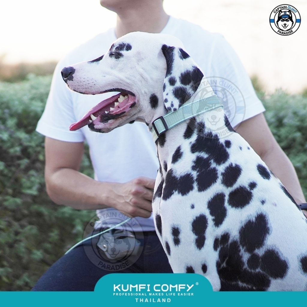 kumfi-comfy-reflective-collar-ปลอกคอสุนัขสะท้อนแสง-ใหม่