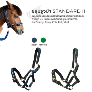 ขลุมจูงม้า รุ่น Standard  II