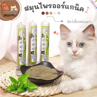 【Z058】BABY PET😸🌿 แคทนิป Catnip สมุนไพรออร์แกนิคสำหรับแมวแบบหลอด 10g ผ่อนคลายน้องแมว 😻