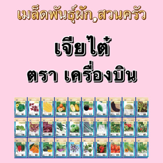 เมล็ดพันธุ์เจียไต๋ พืช,ผักสวนครัวตราเครื่องบิน(ซองเล็ก)ชุดที่1