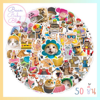 Sticker cat 417 🐈 🐱สติ๊กเกอร์รูปแมว ไดคัท 50ชิ้น กันน้ำ สีสวยคมชัด ตกแต่ง DIY สติ้กเกอร์ติด ของใช้แมว สติกเกอร์ลายหมาแมว