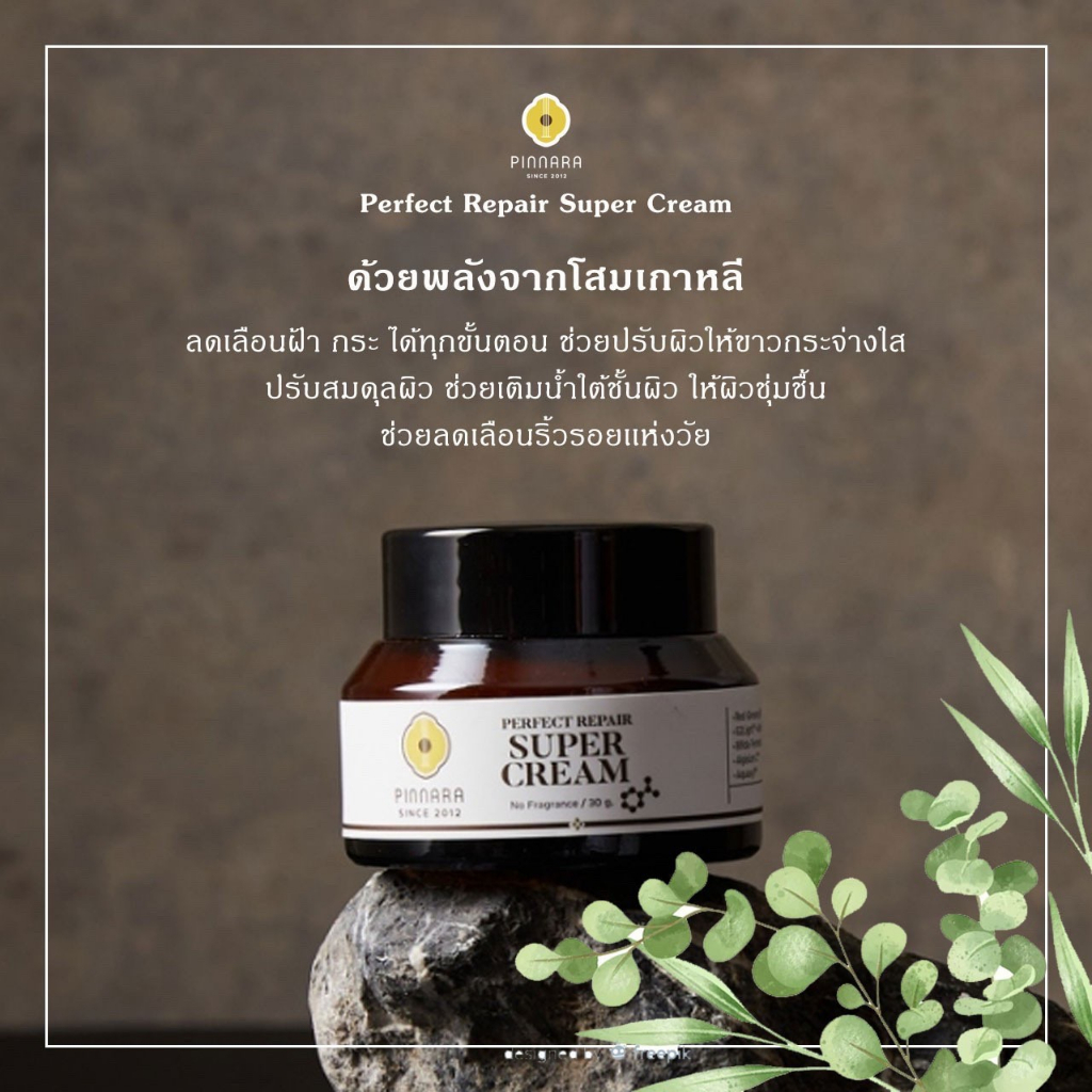 pinnara-perfect-repair-super-cream-พิณนารา-ครีมบำรุงผิวหน้า