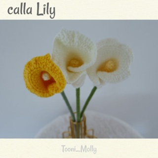 คาร่าลิลลี่ (calla Lily)