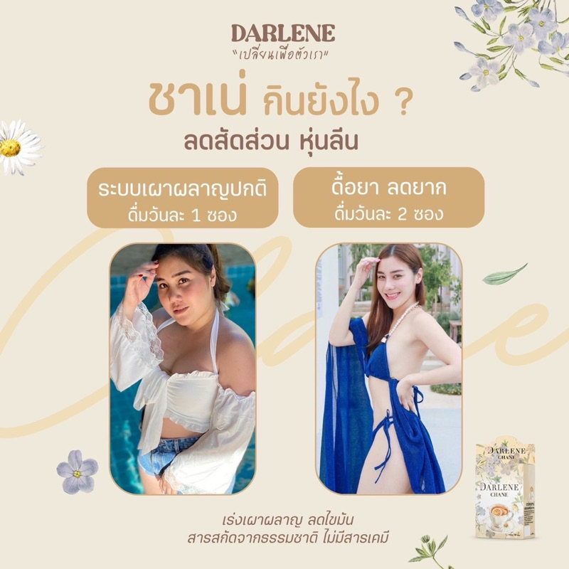 ดาร์เลเน่-ชาเน่-darlene-chane-ชาลดไขมัน-ลดนํ้าหนัก-เร่งระบบเผาผลาญ-ลดหุ่น-ลดแขนใหญ่-ขาใหญ่-ชุดทดลอง-1-กล่อง-10-วัน