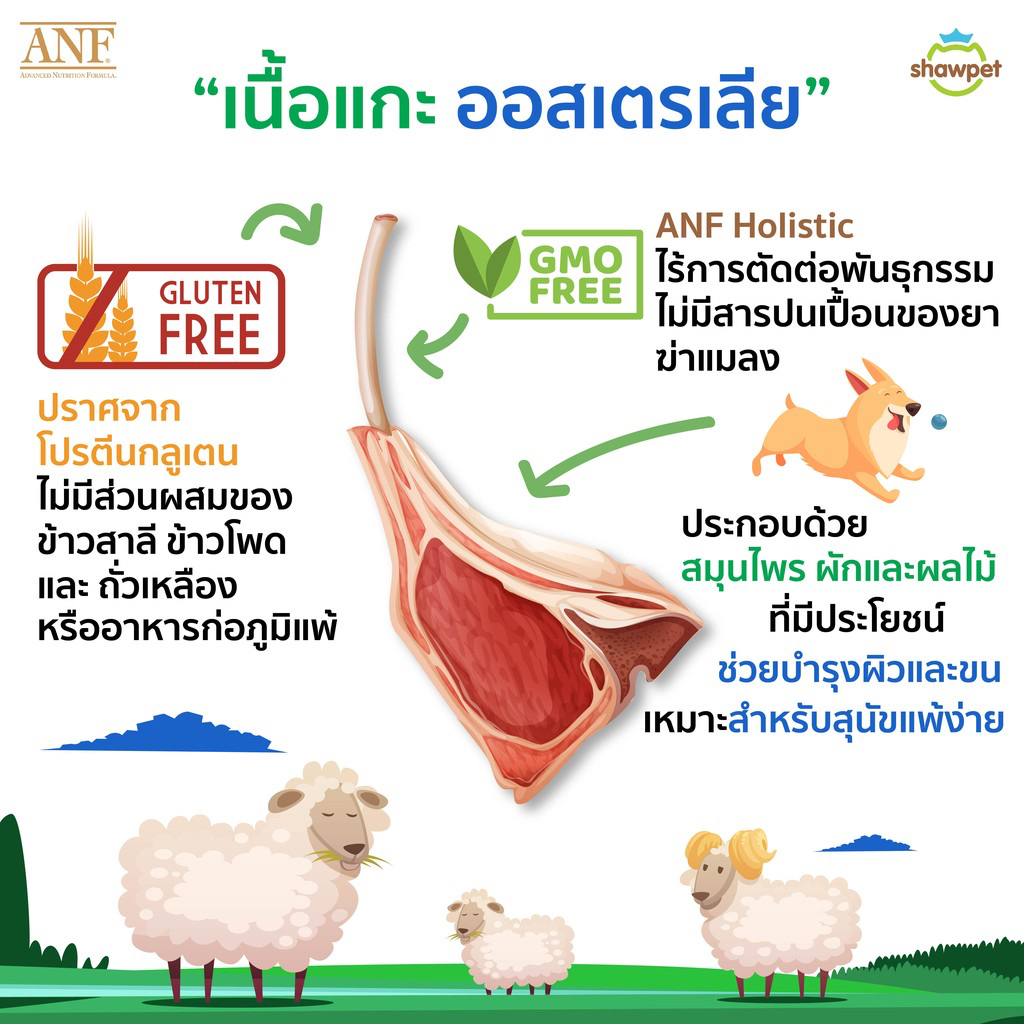 แกะ-เม็ดเล็ก-ลดคราบน้ำตา-แพ้ง่าย-เนื้อแกะ-anf-holistic-อาหารสุนัข-สูตร-lamb-amp-rice-ขนาด-7-5-kg-เม็ดเล็ก