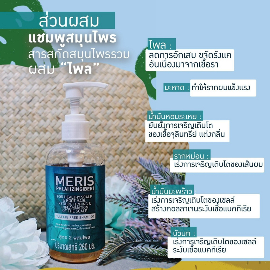 เมอริทแชมพูสูตร-รวมไพล-ขนาด-260ml