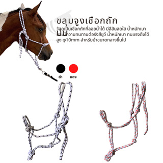 สินค้า ขลุมจูงม้าแบบเชือกถักปม Knotted Halter