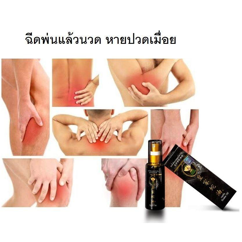 castle-snake-oil-herbal-massage-oil-brand-wang-ngu-formula-สูตร-1-50-ml-ยาน้ำมันนวดสมุนไพรวังงู-ฝาทอง