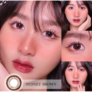 คอนแทคเลนส์ รุ่น Sydney Brown สีน้ำตาล&gt;&gt;แบบสายตาสั้นและแฟชั่น