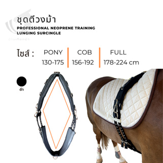 ชุดตีวงม้า🐴  Professional neoprene training lunging surcingle