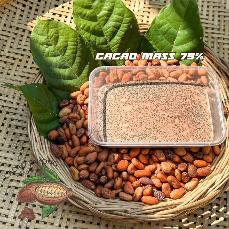 โกโก้แมสเชียงใหม่-cacao-mass-chiangmai-origin