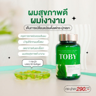 มีปลายทาง Toby horsetail หญ้าหางม้าสกัดเย็น