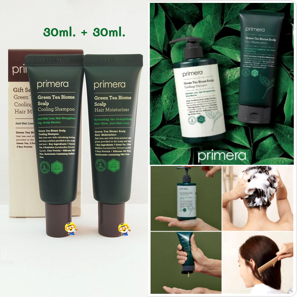 (EXP 09/2024) เซ็ทแชมพู+ทรีทเมนท์ชาเขียว ลดผมร่วง ลดมัน Primera Green