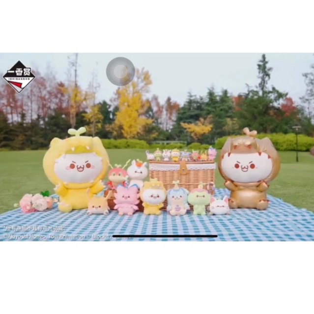 Digimon x Chang caoyan tuanzi ichiban kuji : พร้อมส่ง | Shopee Thailand