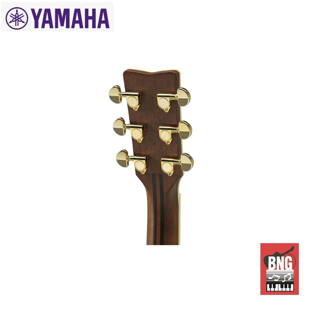 yamaha-ls-ta-กีต้าร์โปร่งไฟฟ้า-acoustic-guitar