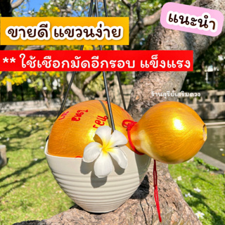 ตะกร้าใส่น้ำเต้า แบบแขวน ติดบ้าน ขายเฉพาะตะกร้า 69฿ น้ำเต้าขายแยก