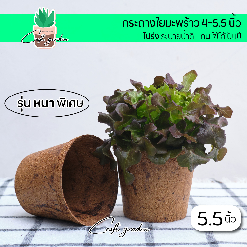 ใหม่-กรถางใยมะพร้าว-4-5-5-5นิ้ว-ปลูกกัญชา-รุ่นหนาพิเศษ