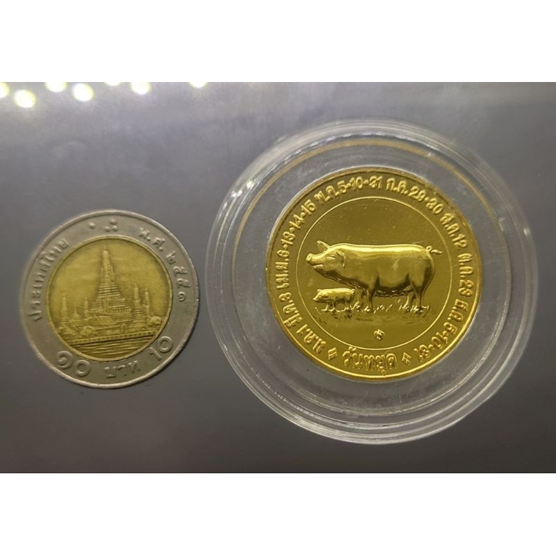 เหรียญปฎิทิน-ประจำปีปีนักษัตร-ปีกุน-หรือ-ปีหมู-เนื้อทองแดงชุบกาหลั่ยทอง-ปี-พศ-2550-ไม่ผ่านใช้-ของสะสม-เหรียญปีหมู