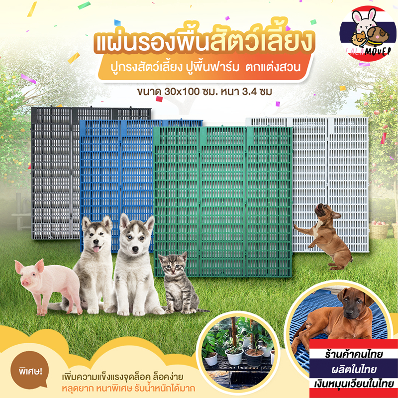 ภาพหน้าปกสินค้า( รุ่นเดิม) แผ่นรองกรงสัตว์เลี้ยง แผ่นสแลท แผ่นพลาสติก แผ่นปูพื้นกรงสัตว์ แผ่นรองพื้น แผ่นปูพื้นฟาร์ม แผ่นตกปูพื้นแต่ง จากร้าน lalamover บน Shopee