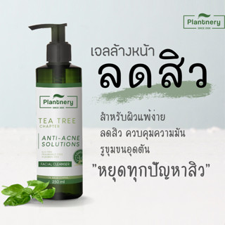 Plantnery Tea Tree Facial Cleanser 250 ml. เจลล้างหน้าที ทรี สูตรช่วยลดสิว และควบคุมความมัน บอกลาปัญหาสิว