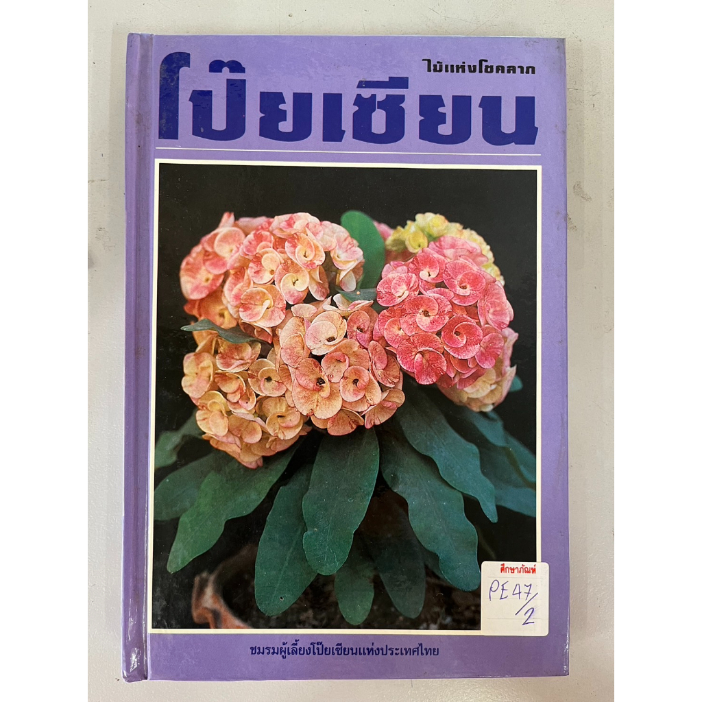 ไม้แห่งโชคลาภ-โป๊ยเซียน-ชมรมผู้เลี้ยงโป๊ยเซียนแห่งประเทศไทย