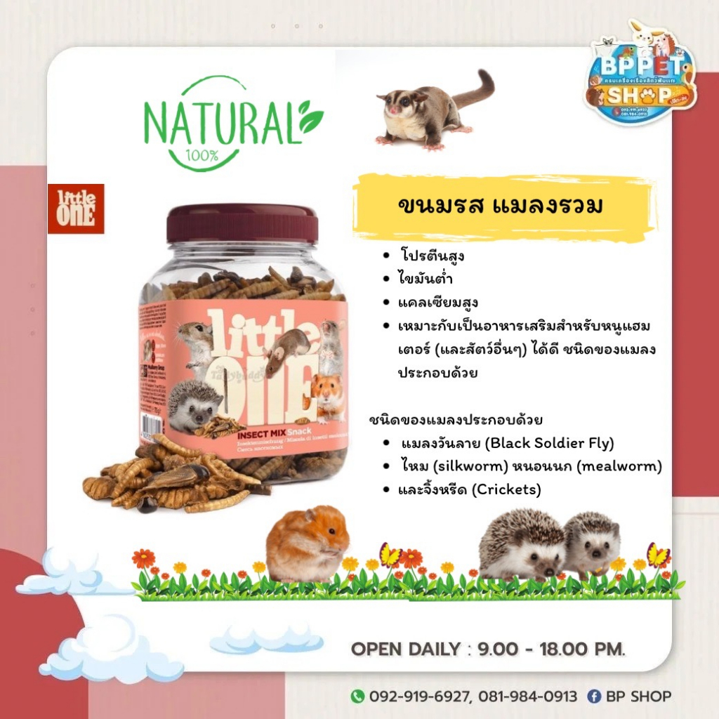 bp-pets-ขนมกระต่าย-แกสบี้-ชินชิลล่า-little-one-ขนมหนูแฮมเตอร์-กระรอก-ชูก้าร์ไกลเดอร์-ขนมสัตว์เล็ก