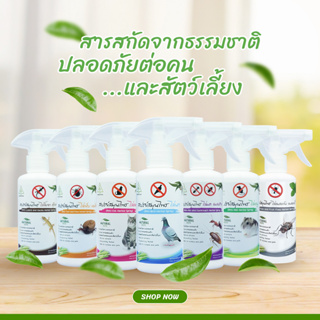 ภาพขนาดย่อของภาพหน้าปกสินค้ากำจัดเห็บ หมัด SAMUNPINE สเปรย์สมุนไพรไล่เห็บ ขนาด 250 มล./Anti-Tick and Flea Herbal Spray 250 ml. (เห็นผลชัดเจนหลังใช้) จากร้าน samunpine บน Shopee ภาพที่ 4