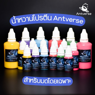 Antverse Super Protein น้ำหวานโปรตีนสำหรับมด