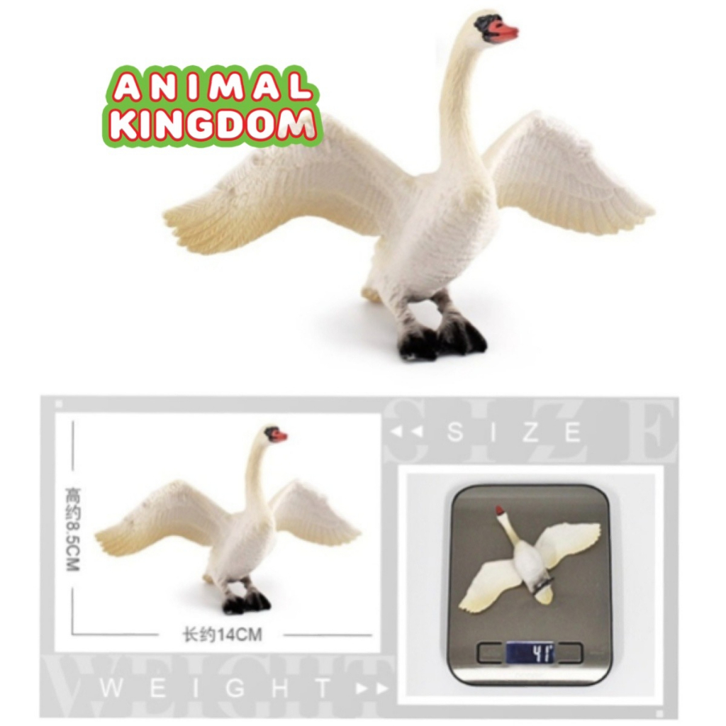 animal-kingdom-โมเดลสัตว์-หงส์-ขาวว-ขนาด-13-90-cm-จากสงขลา