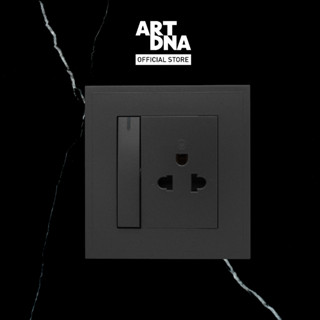 ART DNA รุ่น D3 3 Pin Socket With switch ขนาด 3x3" design switch สวิตซ์ไฟโมเดิร์น สวิตซ์ไฟสวยๆ ปลั๊กไฟสวยๆ