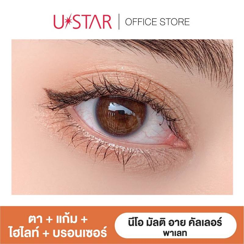 ustar-neo-multi-eye-color-palette-chic-brown-ยูสตาร์-นีโอ-มัลติ-อาย-คัลเลอร์-พาเลท